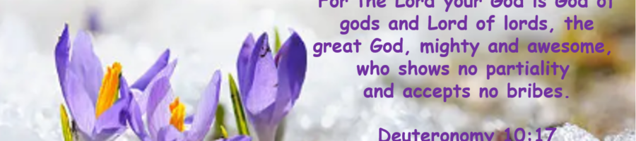 “Our God is an awesome God …” January 2025 Ministry Update 