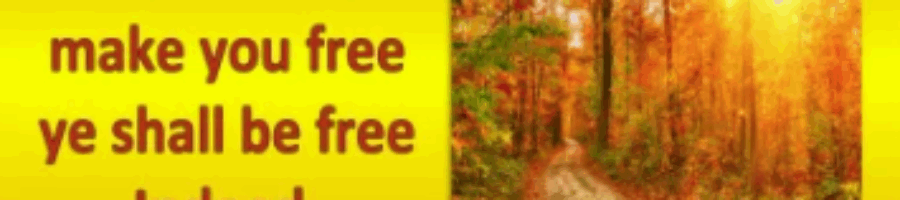 “If therefore, the Son shall make you free…” March/April 2025 Ministry Update