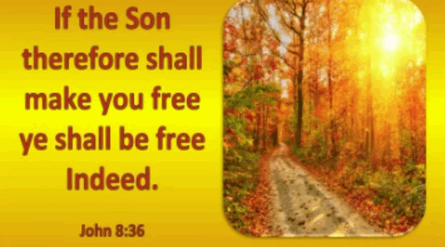 “If therefore, the Son shall make you free…” March/April 2025 Ministry Update