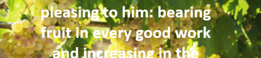 “So walk in a manner worthy of the Lord, … bearing fruit in every good work…” September 2025 Ministry Update