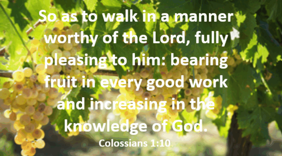 “So walk in a manner worthy of the Lord, … bearing fruit in every good work…” September 2025 Ministry Update