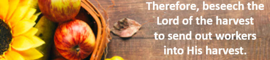 “The harvest is plentiful, but the workers are few …” July/August 2025 Ministry Update