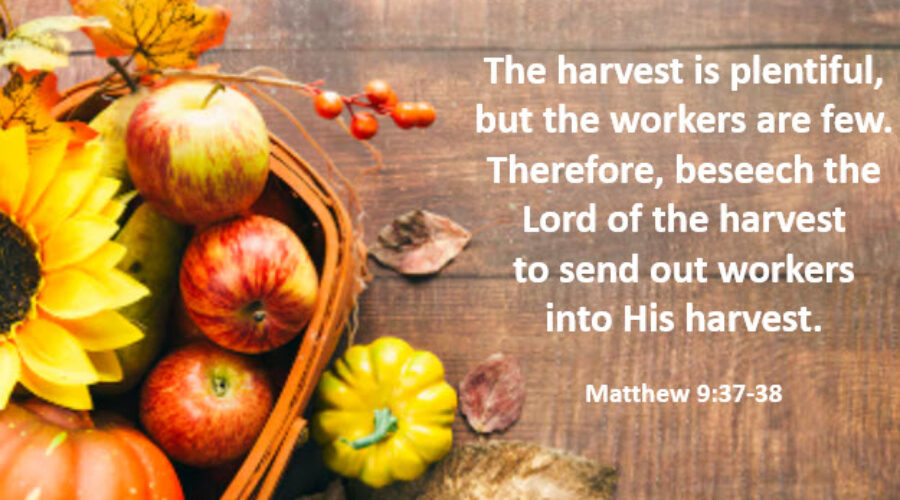 “The harvest is plentiful, but the workers are few …” July/August 2025 Ministry Update